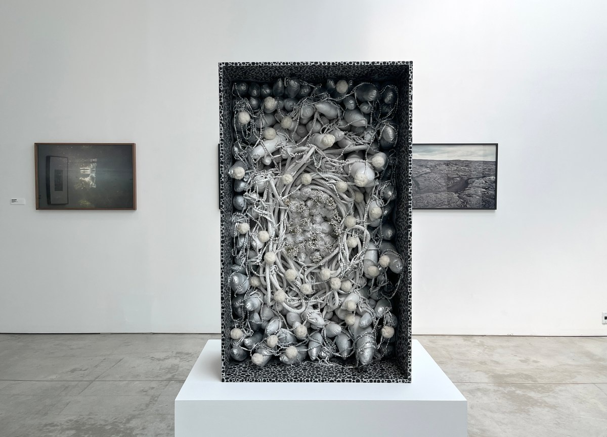 Вид инсталляции « Мать-природа» в Бардо на Хай-Лайн Найн. Передний план: Яёи Кусама, «Прирост весны» (1986), акрил, синтетическое волокно, пластик и набивная ткань в деревянной коробке