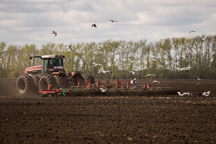    Фото Андрея Заржецкого