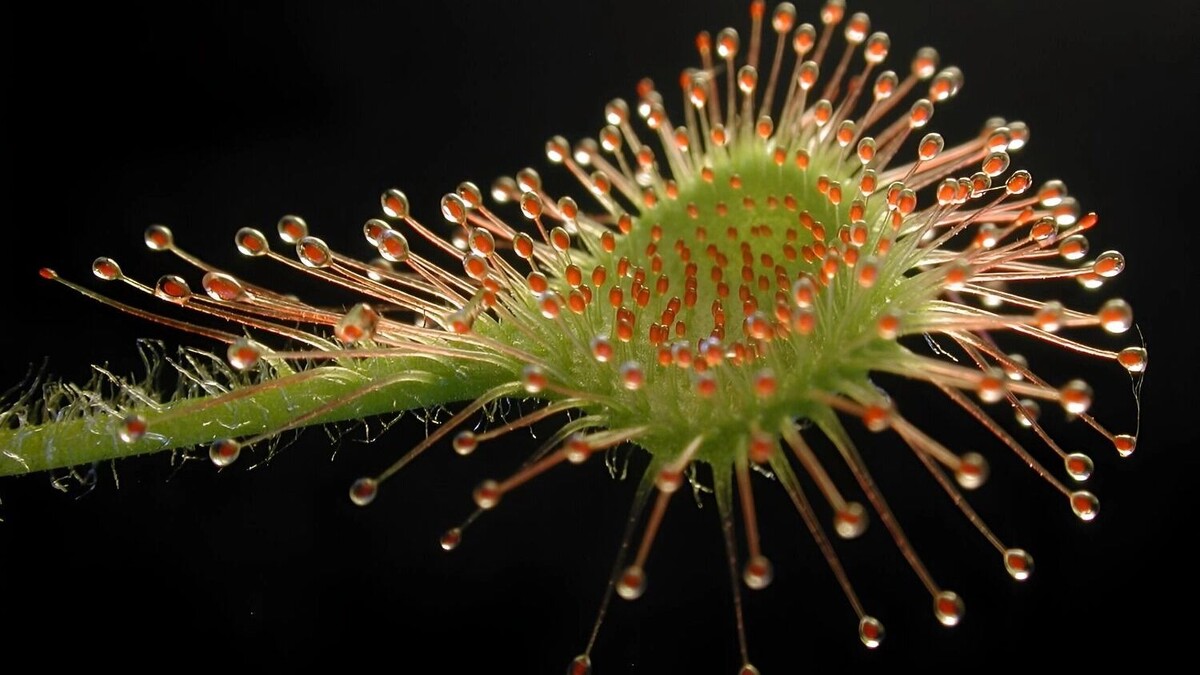     Источник: freepik.com