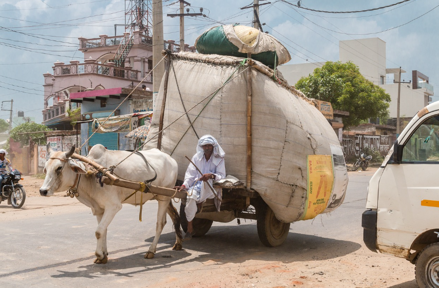 Как Индия, так и Пакистан - страны с одним из самых сильных контрастов. Фото pixabay