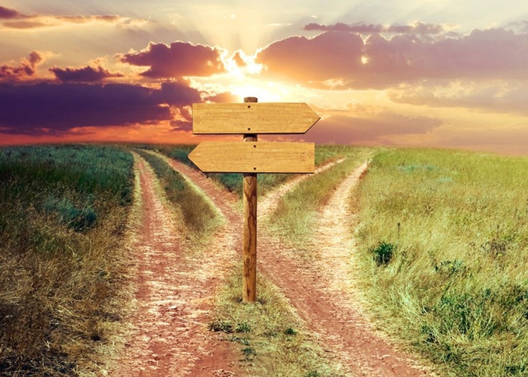 Выбор существует в каждом действии.Яндекскартинки.