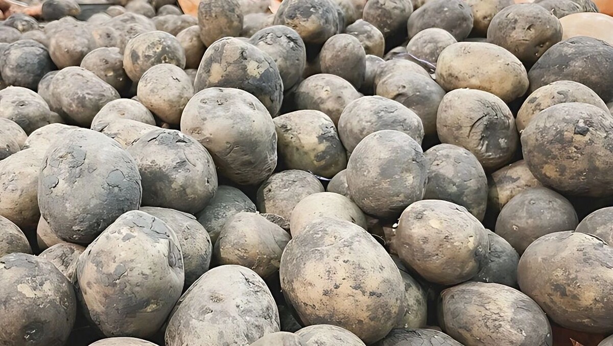     Источник: 1MI