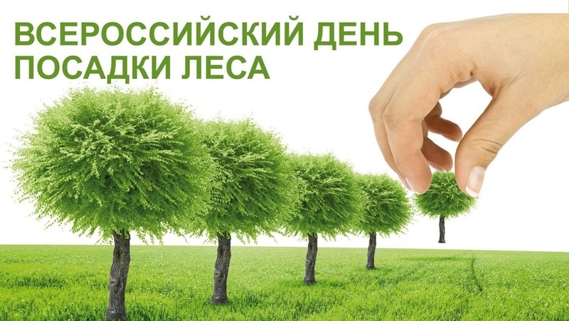 Фото: bipbap.ru