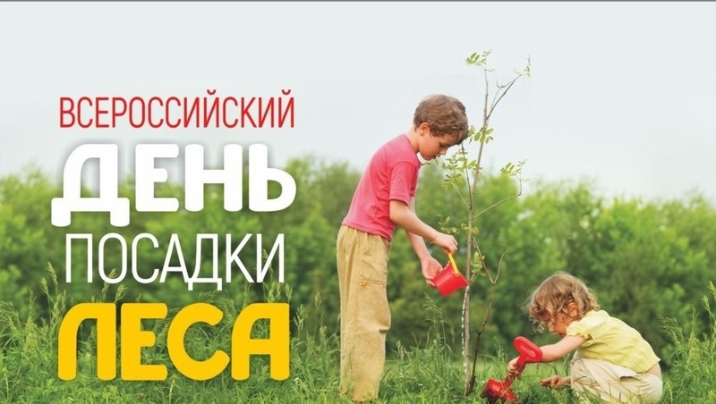 Фото: bipbap.ru