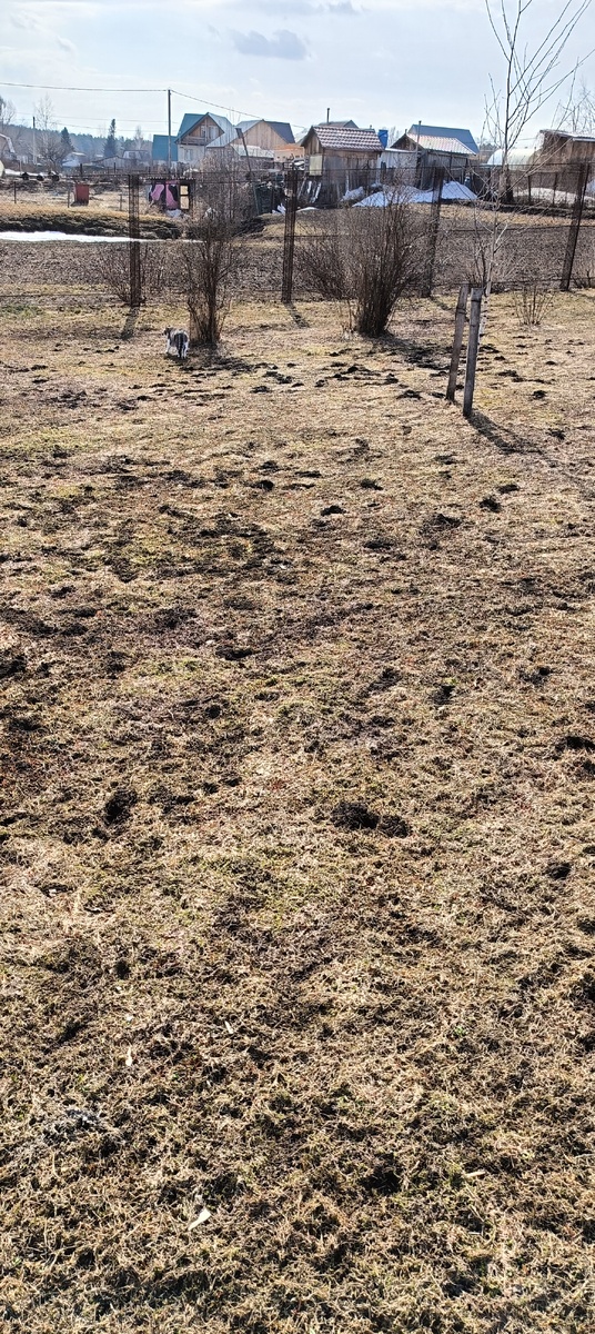 Для полноты картины. Фото автора.