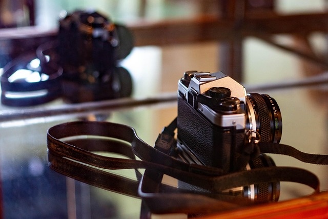 Фото: pixabay.com