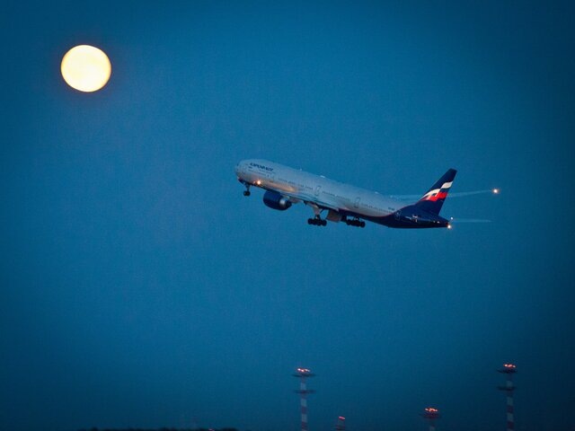    Фото: Москва 24/Владимир Яроцкий