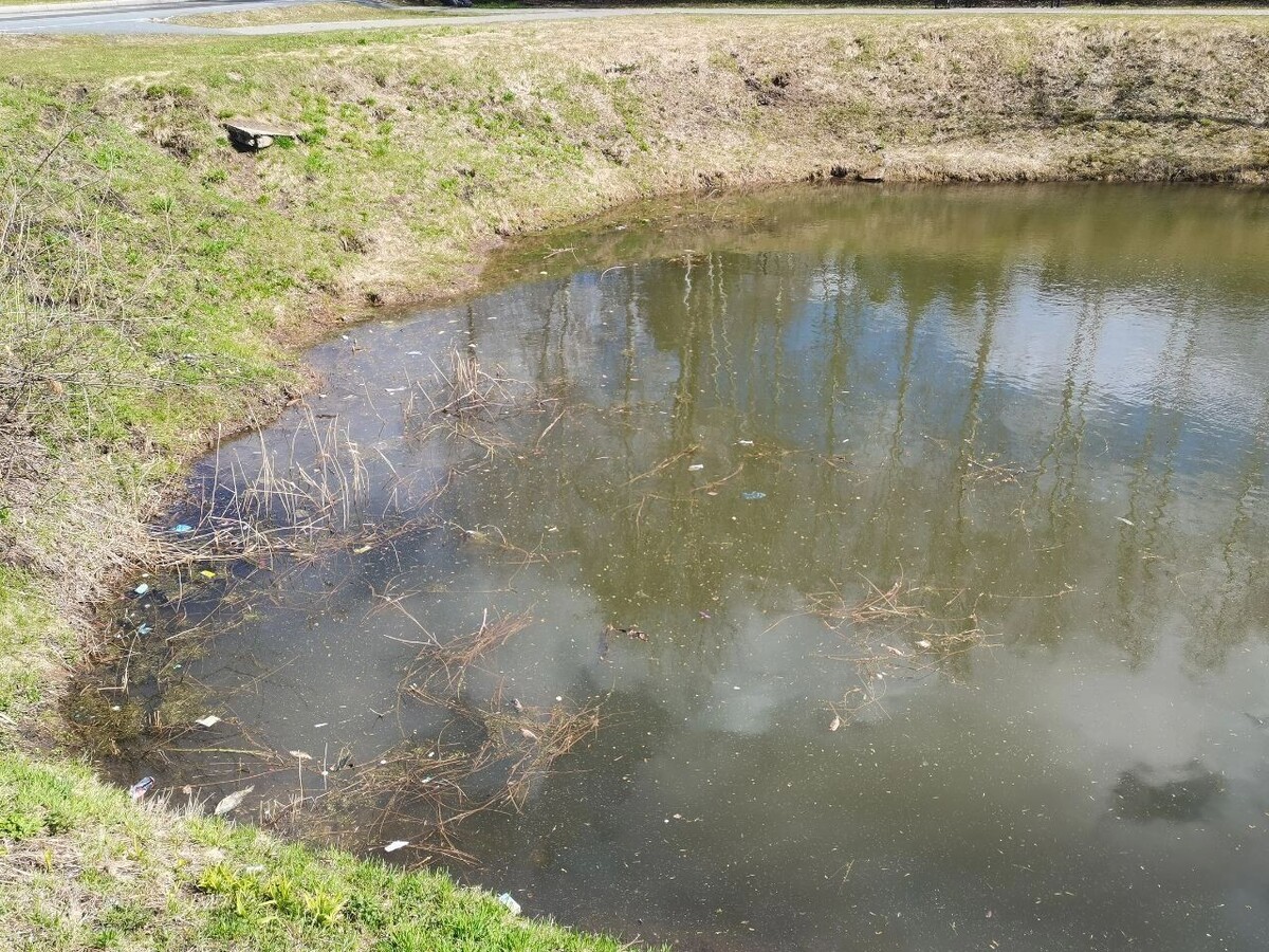     Источник: telegram-канал Главное Тобольск