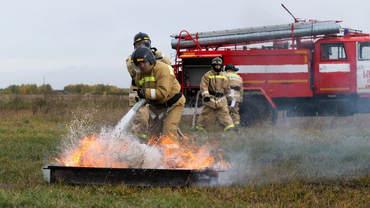     Источник: 1MI