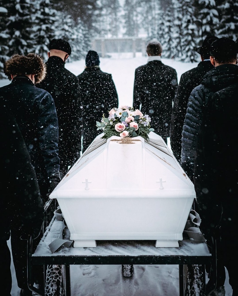 Изображение взято из открытых источников интернета. 