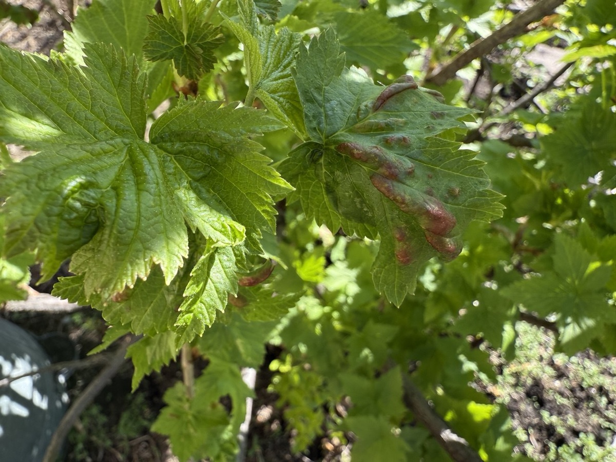 Фото автора канала Дом с кипарисами