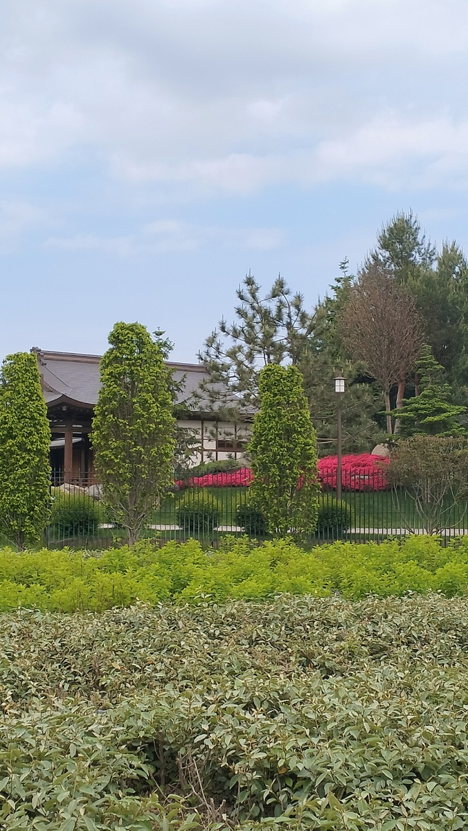 За забором Японский сад