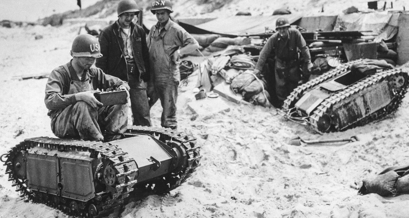 фото из открытых источников