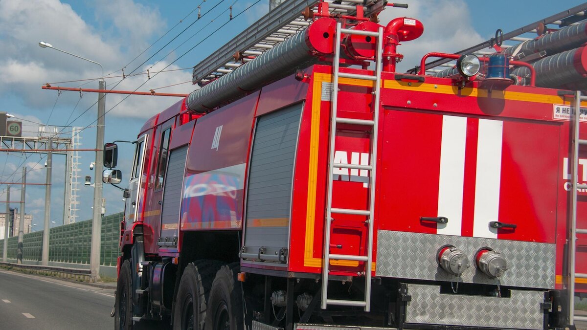    Фото: Svetlana Vozmilova/globallookpress.com