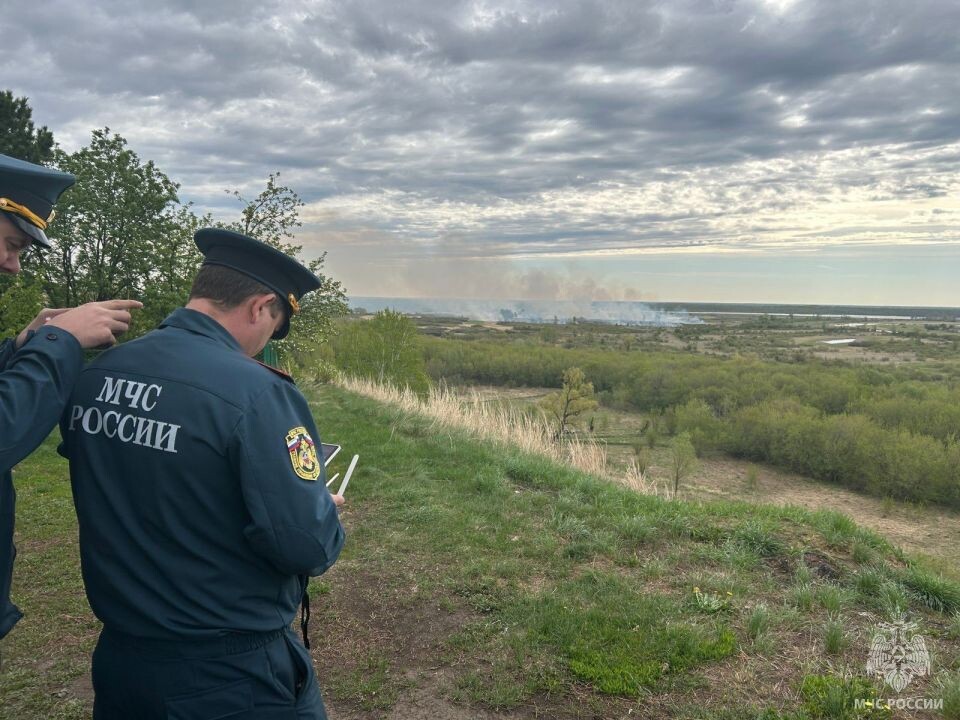    Природный пожар под Барнаулом. Источник: МЧС Алтайского края