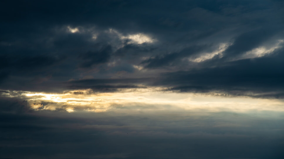 Фото: Олег Харсеев / Коммерсантъ