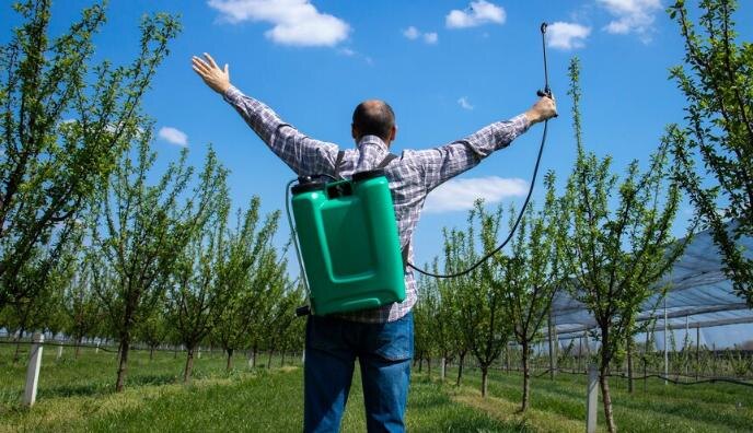 Фото ru.freepik.com
