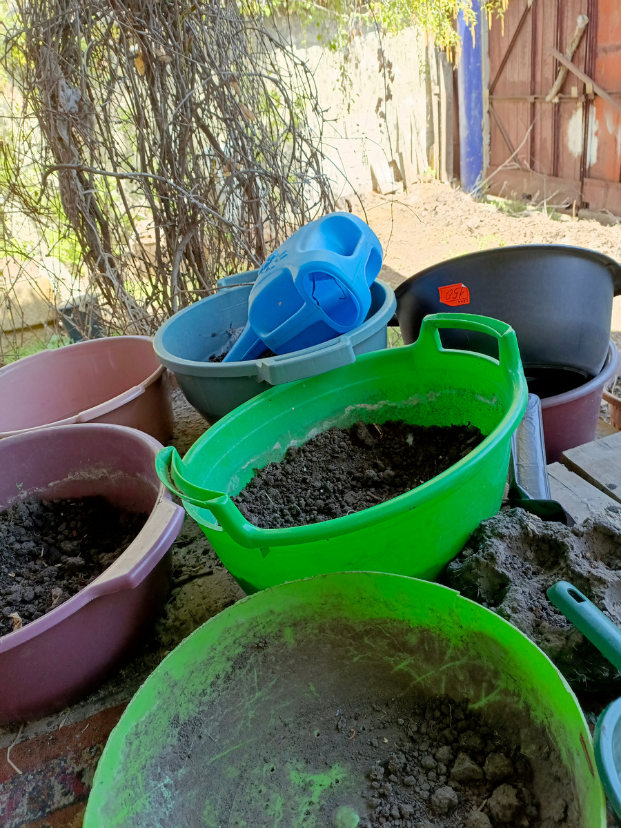 Тазы с землёй, с навозом