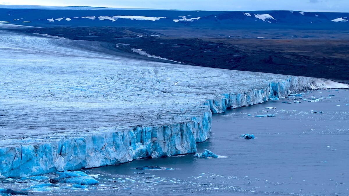    Фото: Maximillian cabinet/Shutterstock/Fotodom