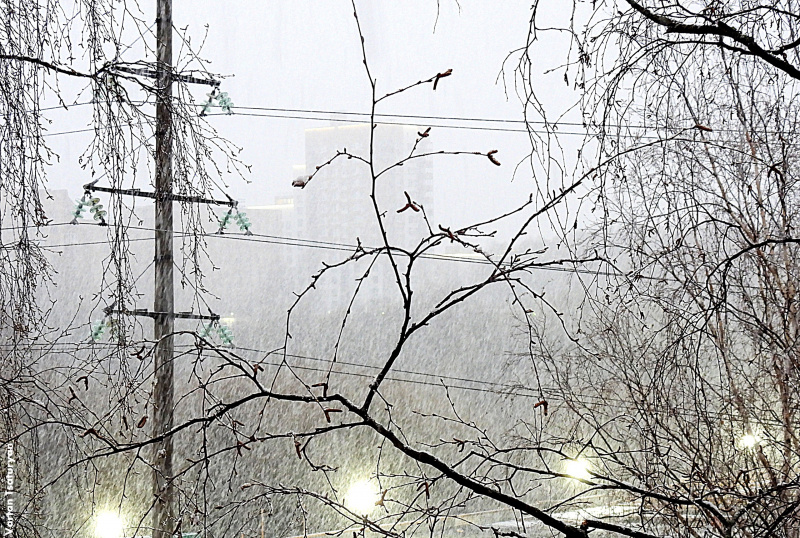    Зима 7 мая нагрянула в ПетрозаводскВартан Цатурян / VK