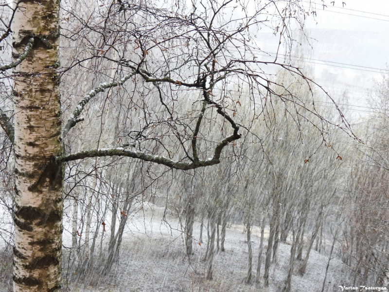    Зима 7 мая нагрянула в ПетрозаводскВартан Цатурян / VK