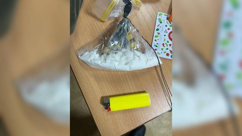 Фото: пресс-служба ГУ МВД России по Челябинской области