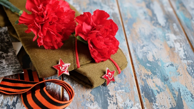 Фото: @natusm / freepik.com