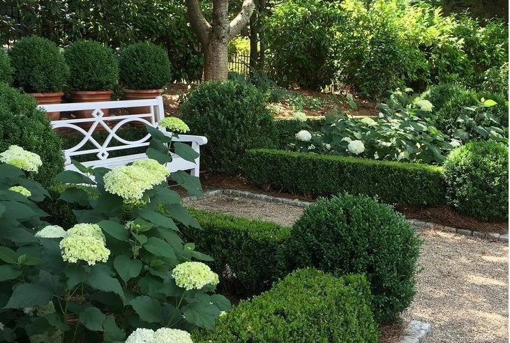 цветы у саловой скамейки