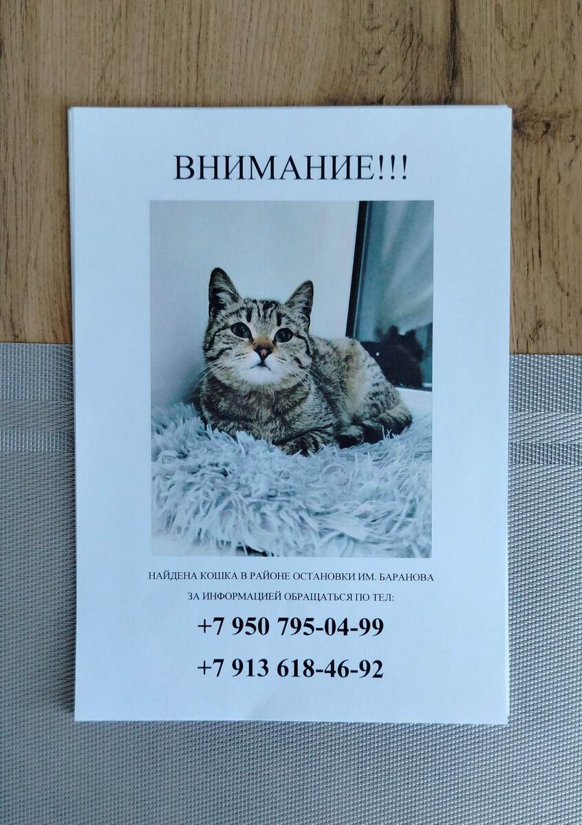 Мы старались, как могли...