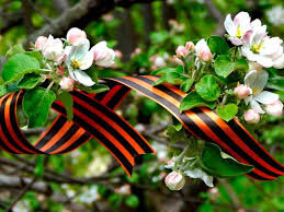 Фото картинка взято из открытых источников интернета 