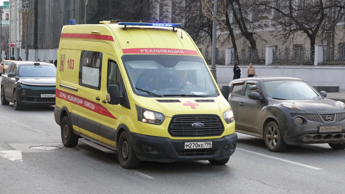    Фото: Belkin Alexey/news.ru