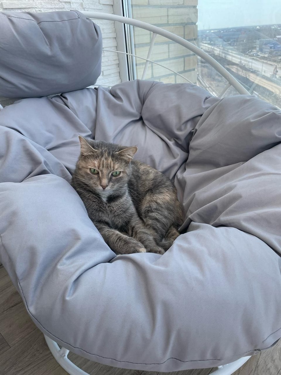 Благодаря вам, друзья, чудеса случаются!