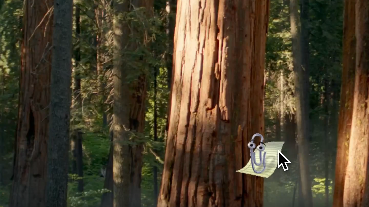 Кадр из видео  📷
