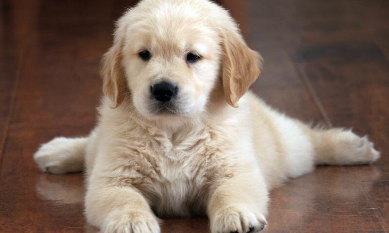    Фото freepik.com