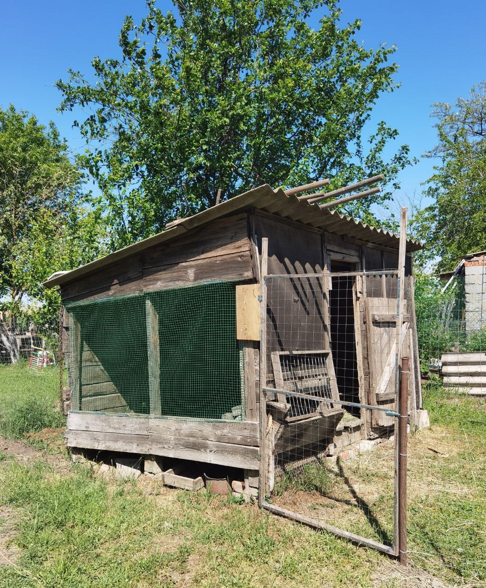 Он несет какой-то прям деревенский вайб, атмосферу детства у бабушки 