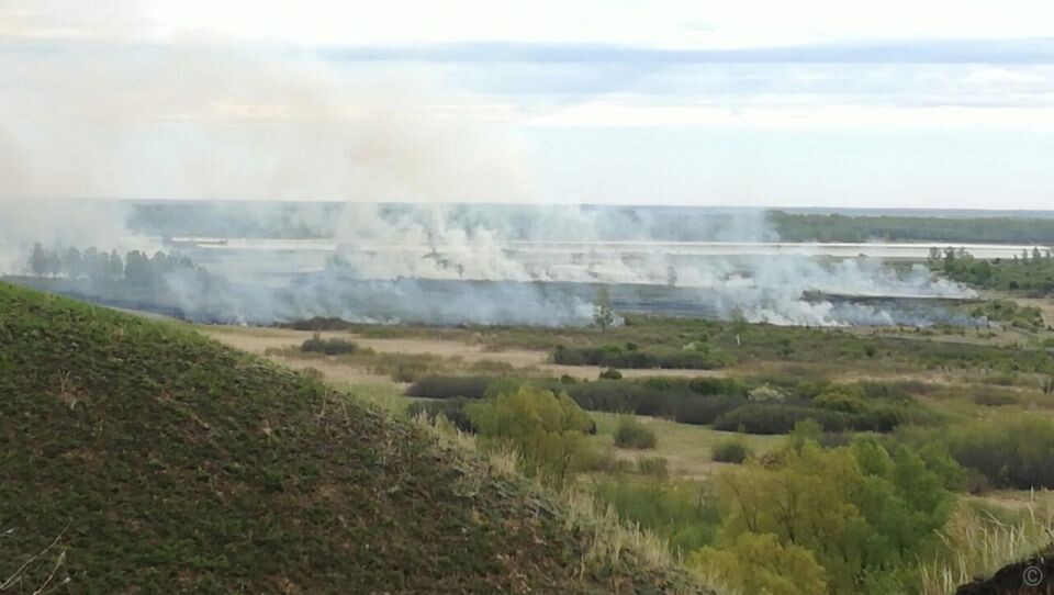    Пожар в районе Сибирской Долины. Источник: Barnaul.org