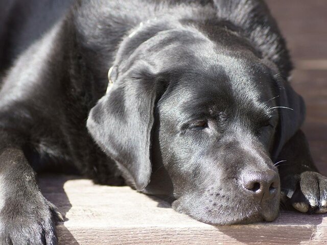    Фото: 123RF/spasta