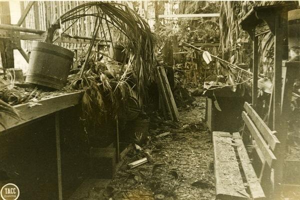 Разрушенная оранжерея