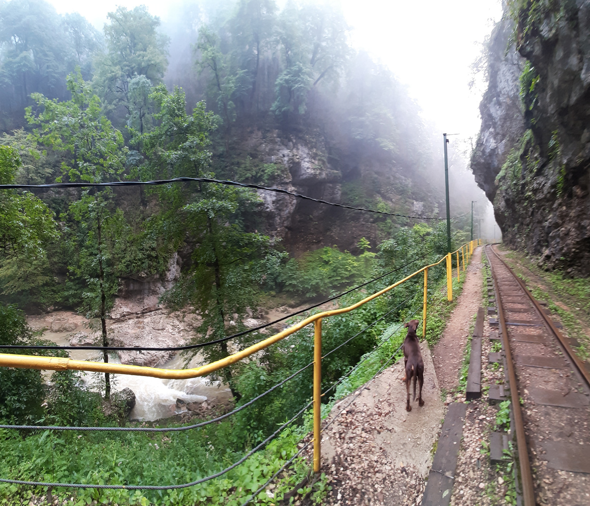 Гуамское ущелье, Краснодарский край