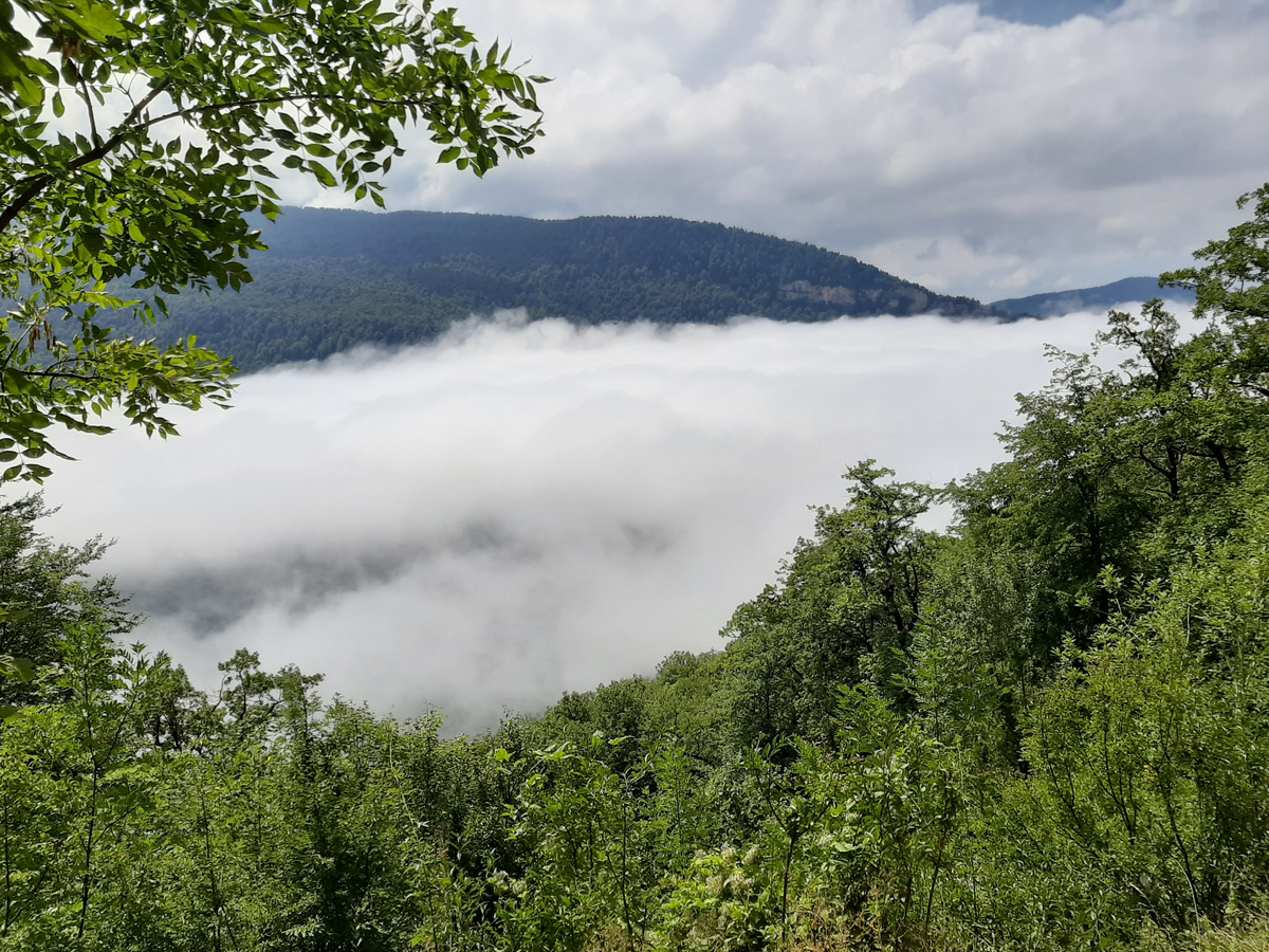 над облаками в Мезмае 