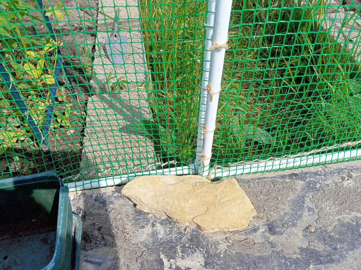 Калитка с камушком