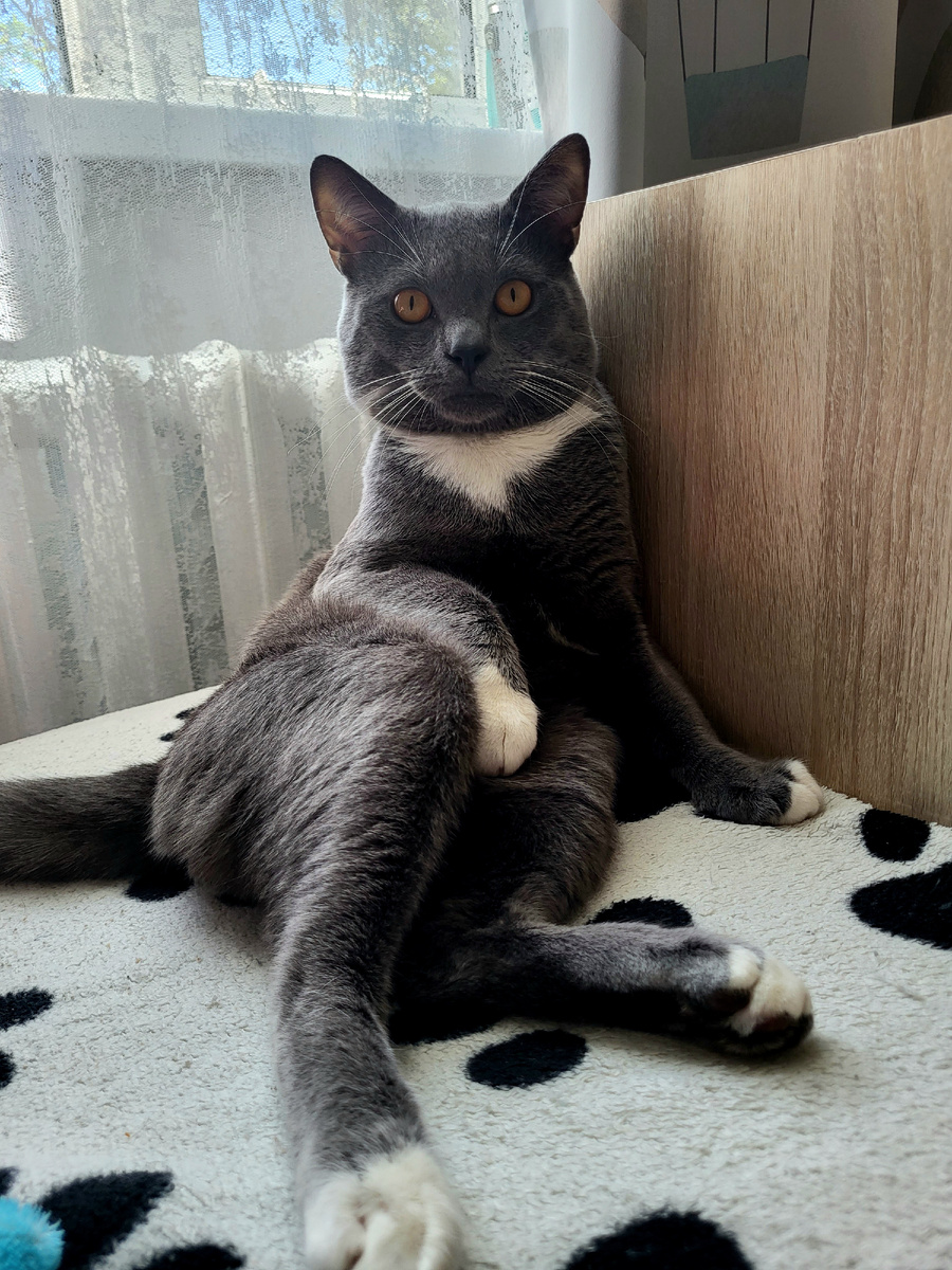 Вовлеченность 100%🙃