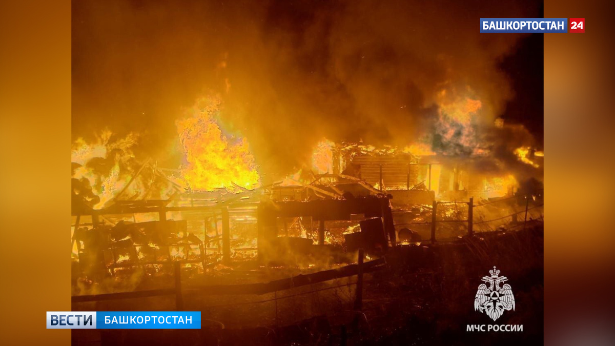    В Башкортостане мужчина героически спас родных из пожара, но сам получил ожоги