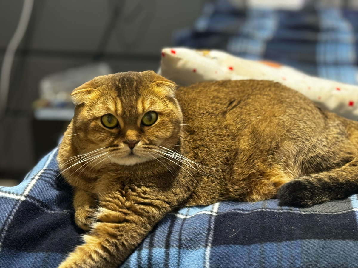 Мэй Ли (из личного архива)