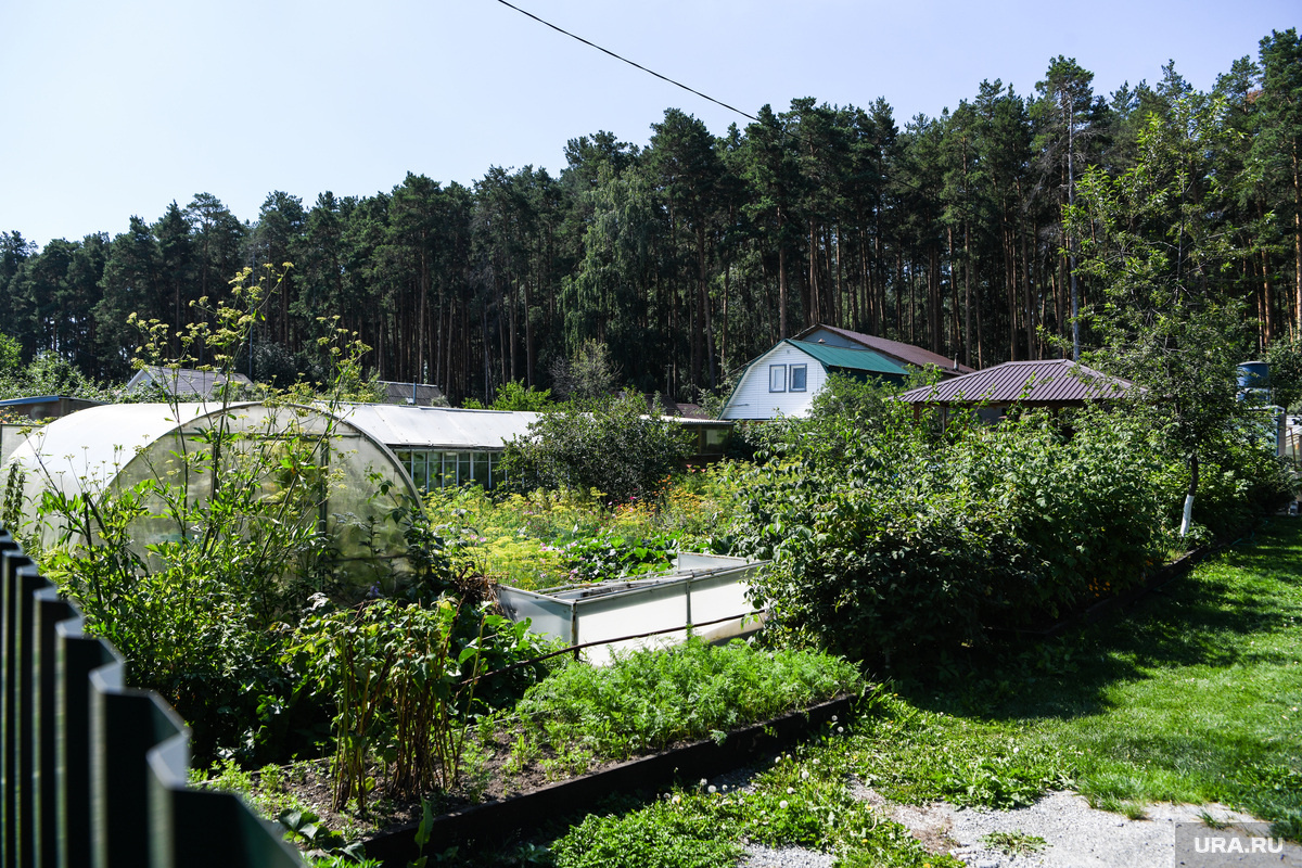 Закалка растений — постепенное приучение их к условиям открытого грунта. Фото: Владимир Жабриков © URA.RU