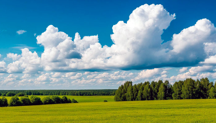 На 7 мая в народном календаре приходится Евсеев день. Изображение: "Шедеврум"