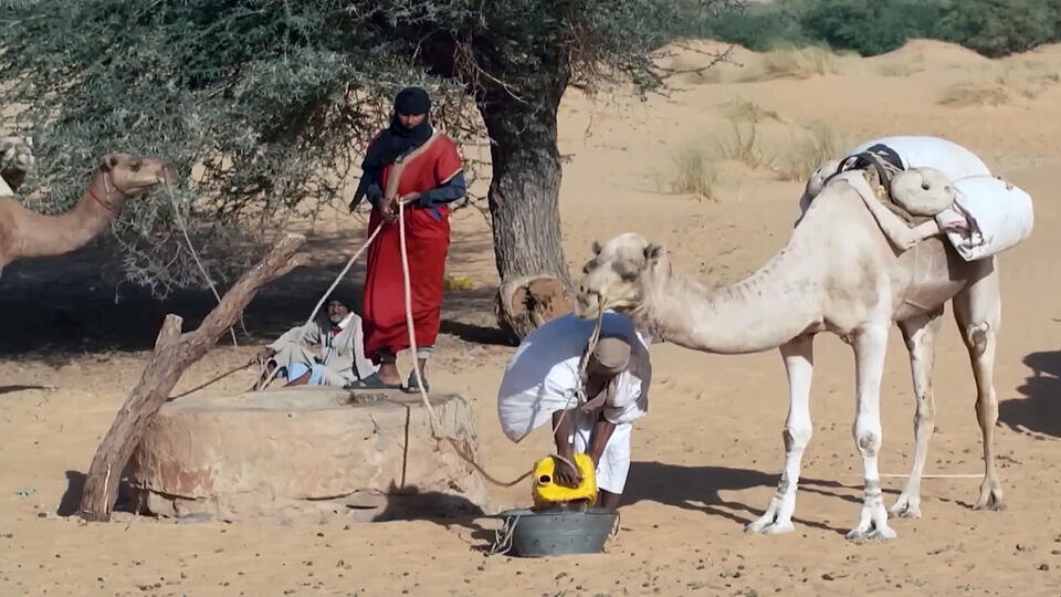Фото: © Кадр из программы "Загадки человечества", РЕН ТВ