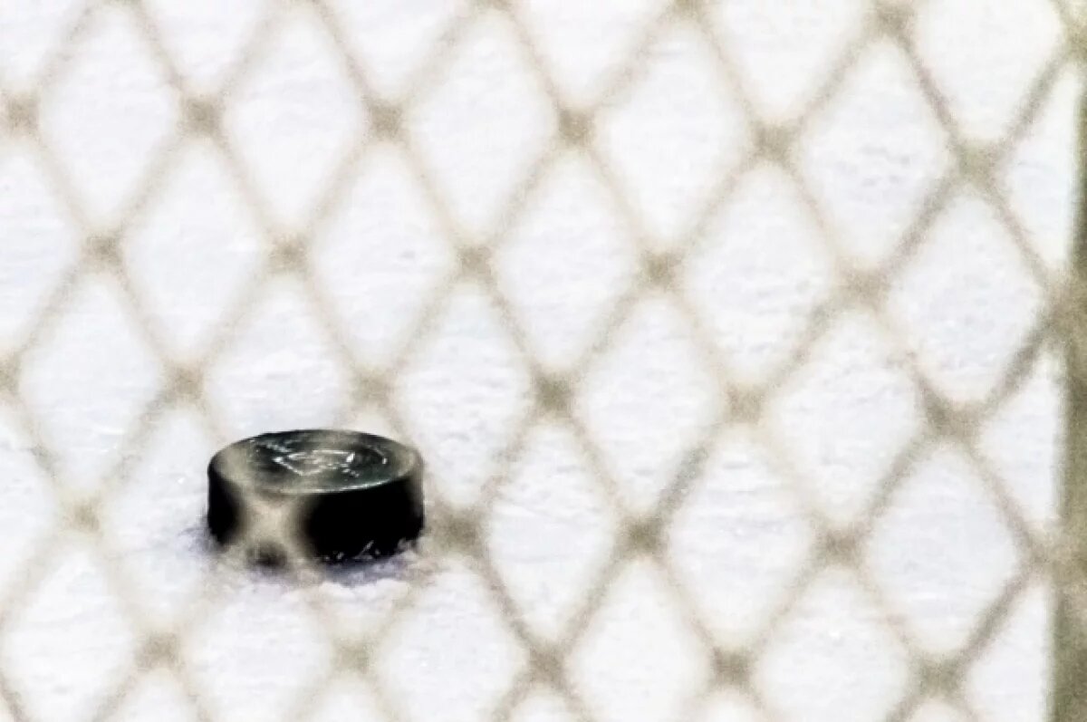    Воронежец вышел в финал Кубка Гагарина