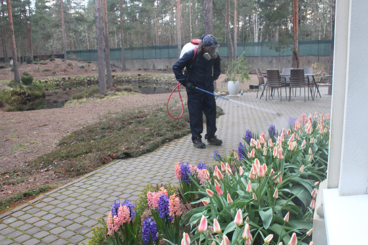 Максим Петрович проводит ранневесеннюю обработку, фото из моего архива