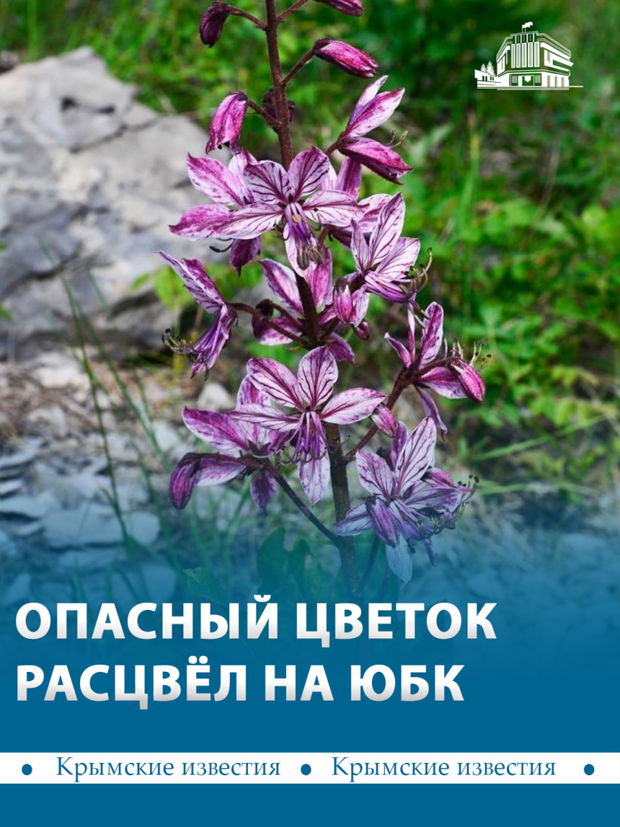 📷 Заповедный Крым